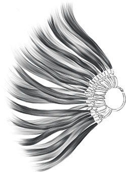 Accede de forma prioritaria a los Sistemas de Colección